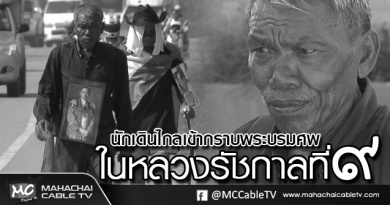 tp-นักเดินทาง11