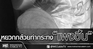 tp-ราคากระทง11