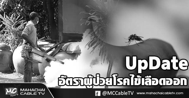 vk สถิติไขเลือดออก 5