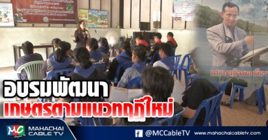 vk เกษตรใหม่ 4