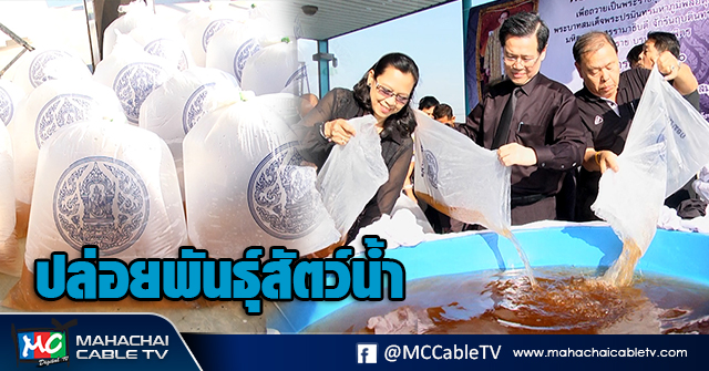 fm - ปล่อยพันธุ์สัตว์น้ำ1