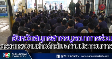 tp-ตรวจแรงงาน1