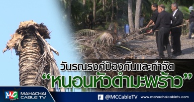 tp-วันรณรงค์ตเอต้านหนอนหัวดำ1