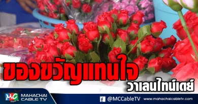 vk ของขวัญ 1แก้
