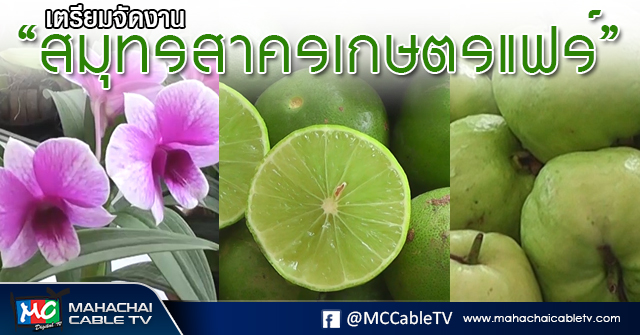 tp-เกษตรแฟร์1