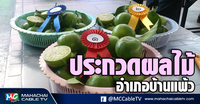 vk ผลไม้ 1