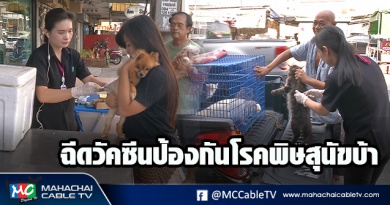 fm - สุนัข1