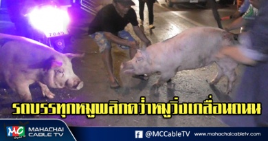 พี่เมธ แก้ไข รถบรรทุกหมูพลิกคว่ำ