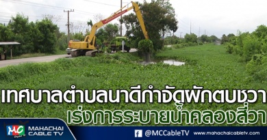 tp-ผักตบ1