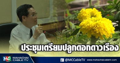 vk ดาวเรือง 1