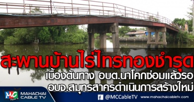 tp-บ้านไร่ไทรทอง1