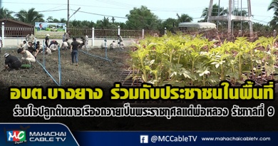 fm - ดาวเรือง1