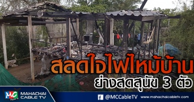 ไฟไหม้บ้านย่างสดหมา3ตัว