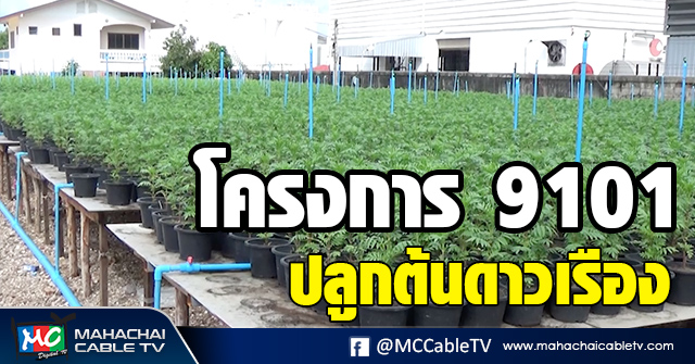 โครงการ 9101