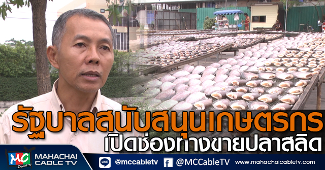 tp- ขายปลา1