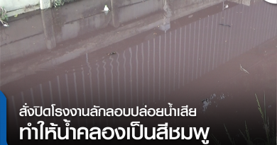 คลองชมพู-01