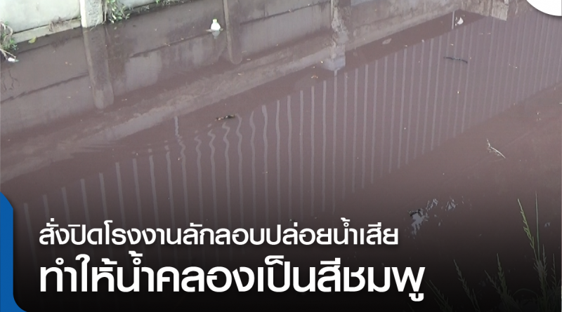 คลองชมพู-01