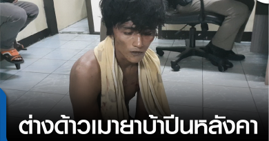 s-ต่างด้าวเมายา-01