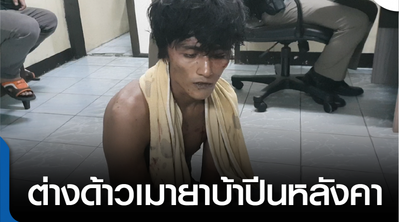 s-ต่างด้าวเมายา-01