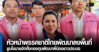 s-ชาติไทยพัฒนา-01