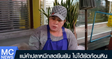 s - หมึกยัดหิน-01