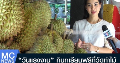 tp-ท่าไม้1