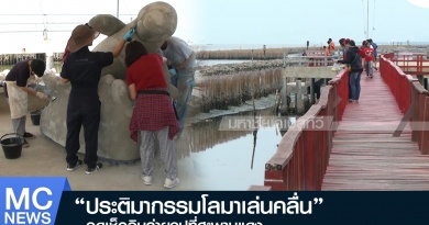 โลมา1