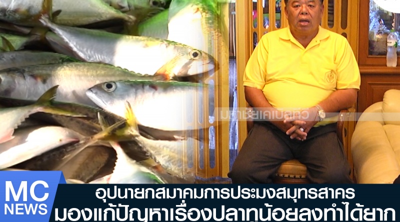 tp-แก้ปลาทู1