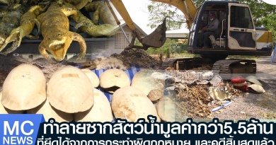 tp-ทำลายซาก1