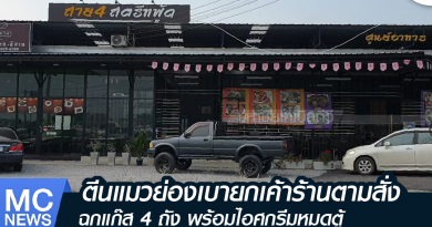 s - ตีนแมวย่องเบา-01