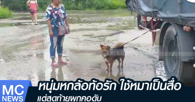 s - ผูกคอดับ-01