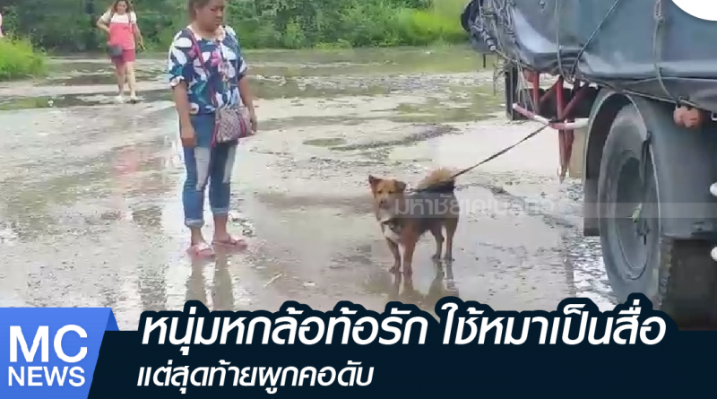 s - ผูกคอดับ-01