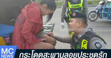 s - โดดประชดรัก-01