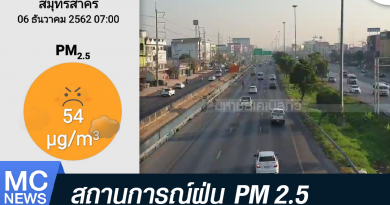 s - ฝุ่น-01