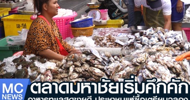 tp-ตลาดคึกคัก1