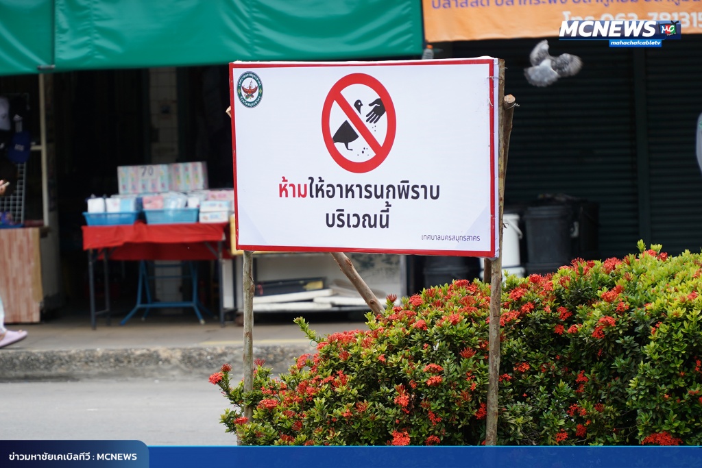 FT นก18_0