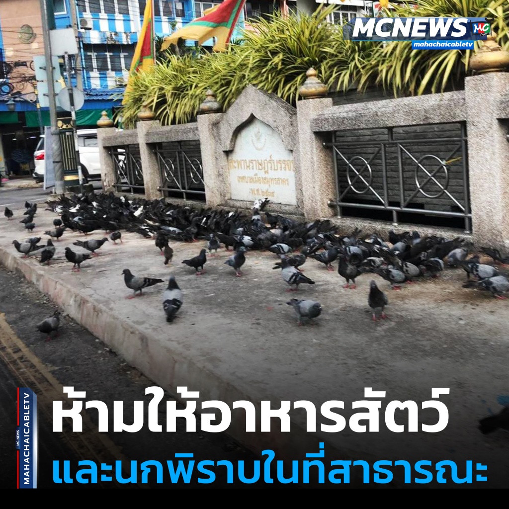 FT นก1_0
