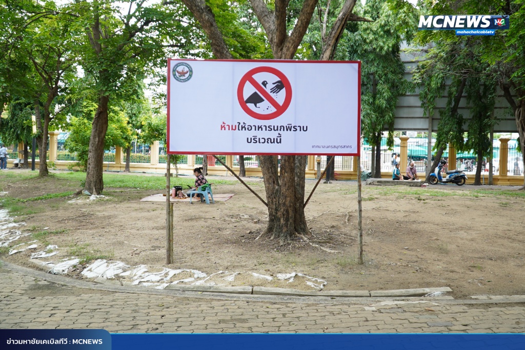 FT นก3_0