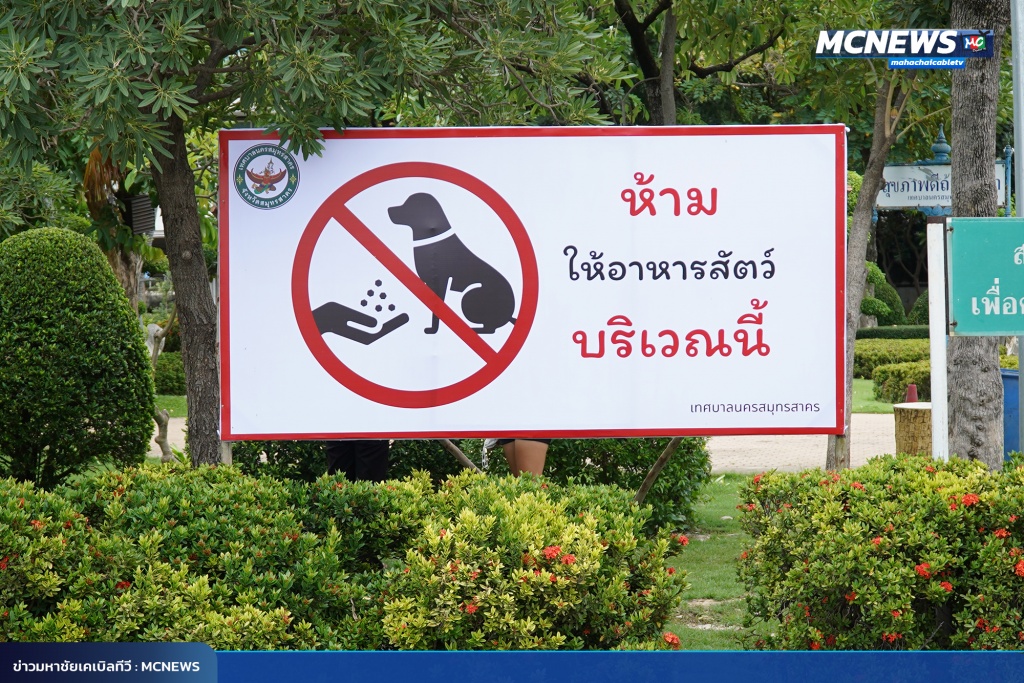 FT นก4_0