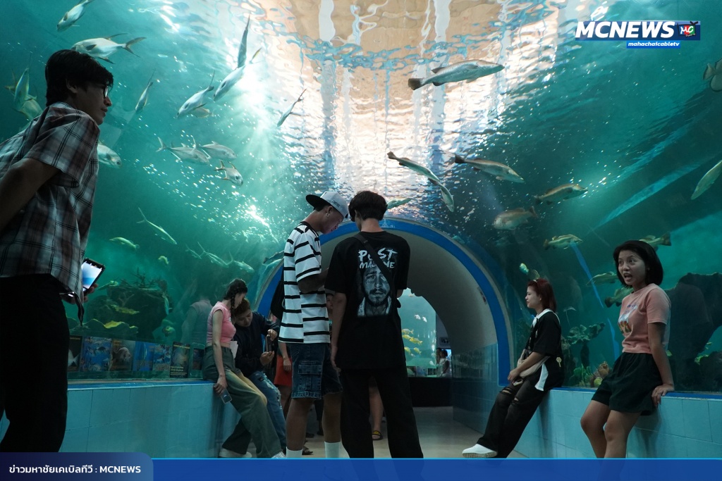 FT ปิด15_0