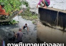 “ภาพชินตาคนท่าฉลอม รองต้อย+สท. ลงคลองเก็บวัชพืช”