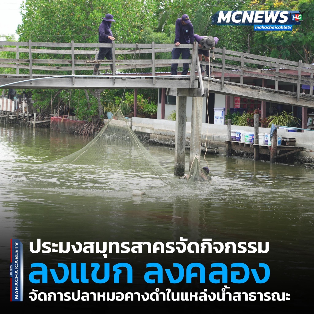 ปลา1 copy_0