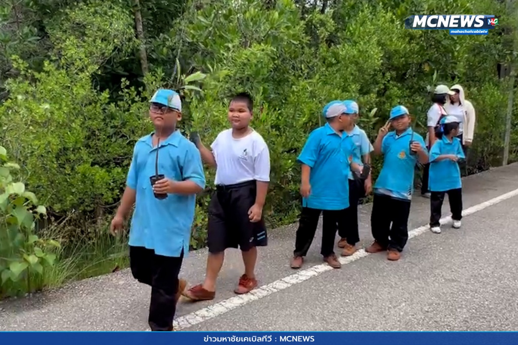 อนุรักษ์ปลูกป่าชายเลน 6