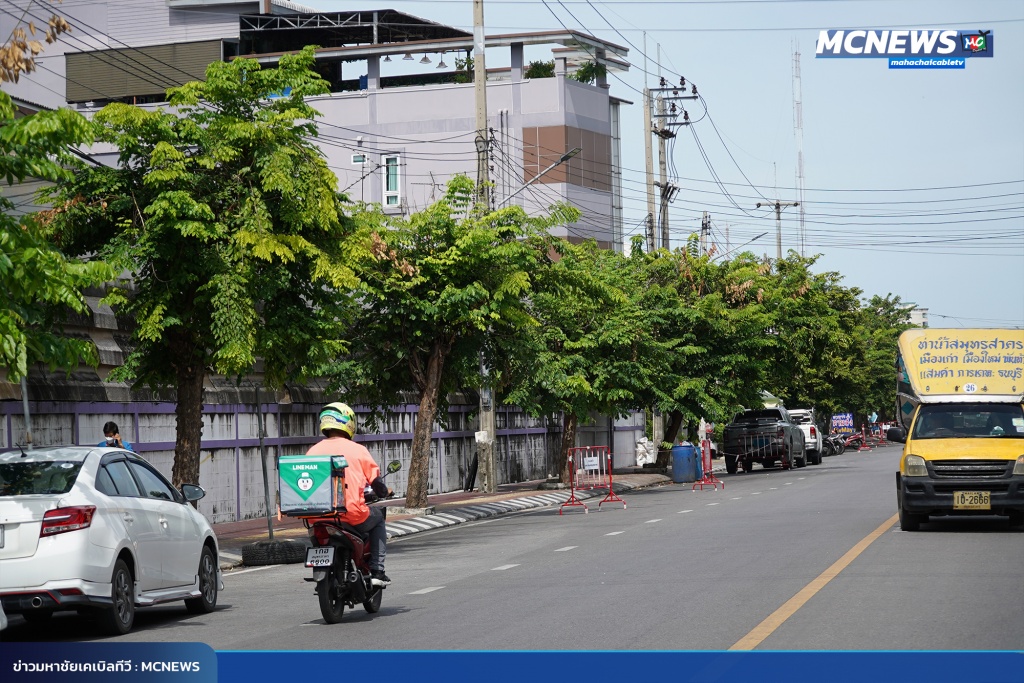 FT ต้นไม้13_0