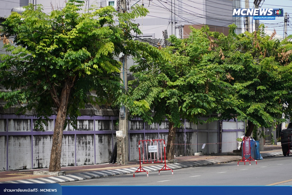 FT ต้นไม้14_0