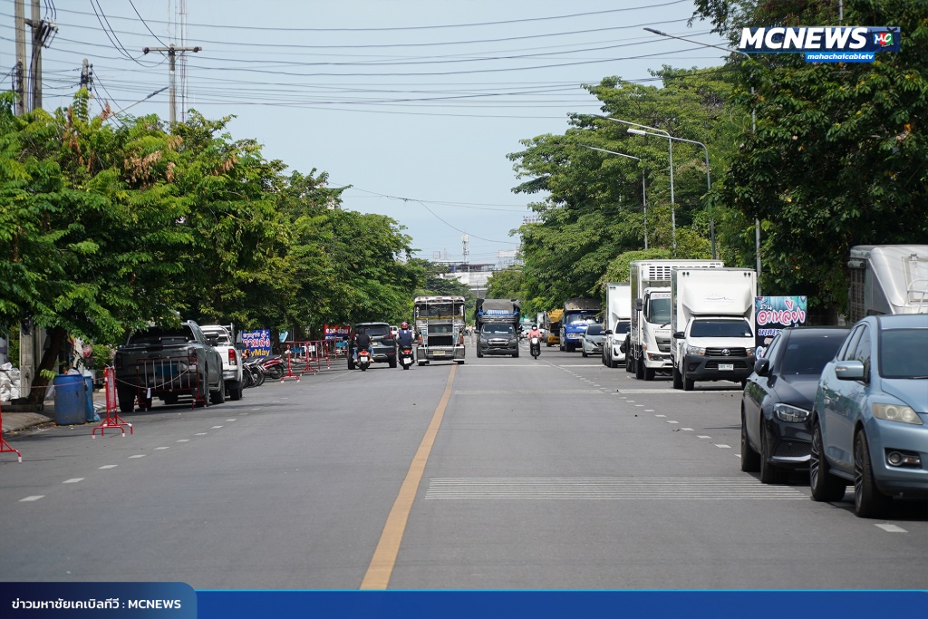FT ต้นไม้15_0