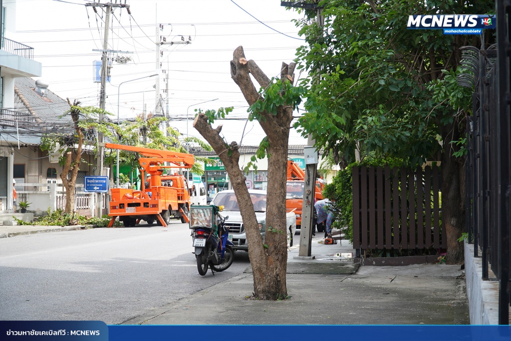 FT ต้นไม้19_0
