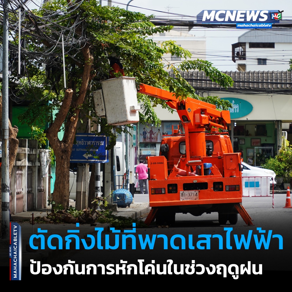 FT ต้นไม้1_0