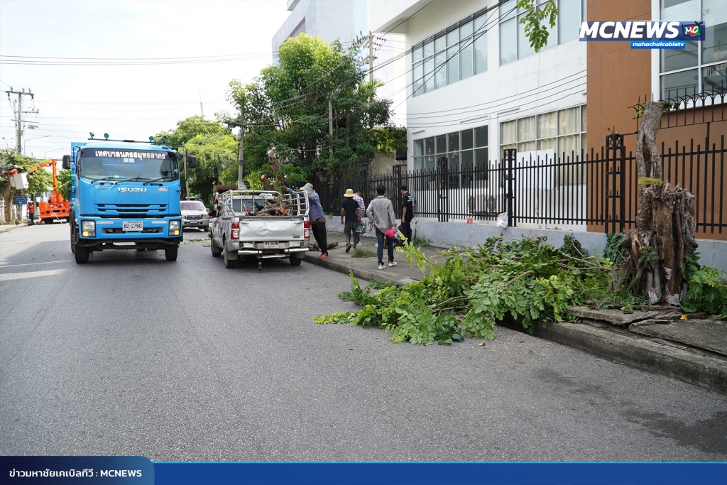 FT ต้นไม้4_0
