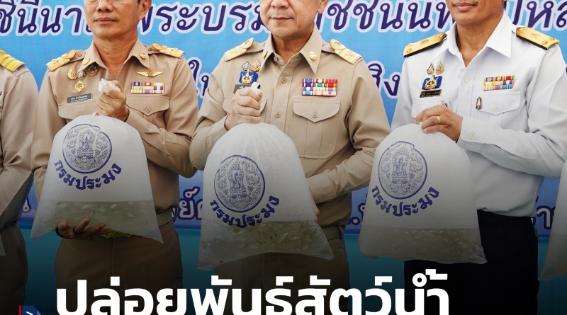FT ปล่อยปลา1_0